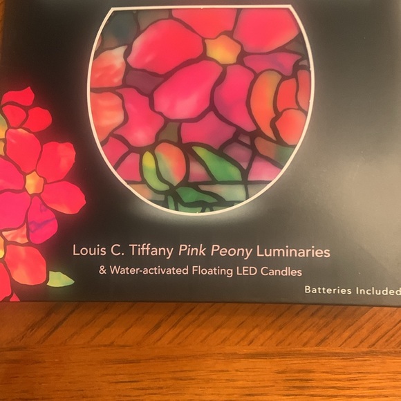 Sold/hold for ZenaNWT Modgy Water Activated Luminary Lanterns - PriceFIRM) - Picture 13 of 16